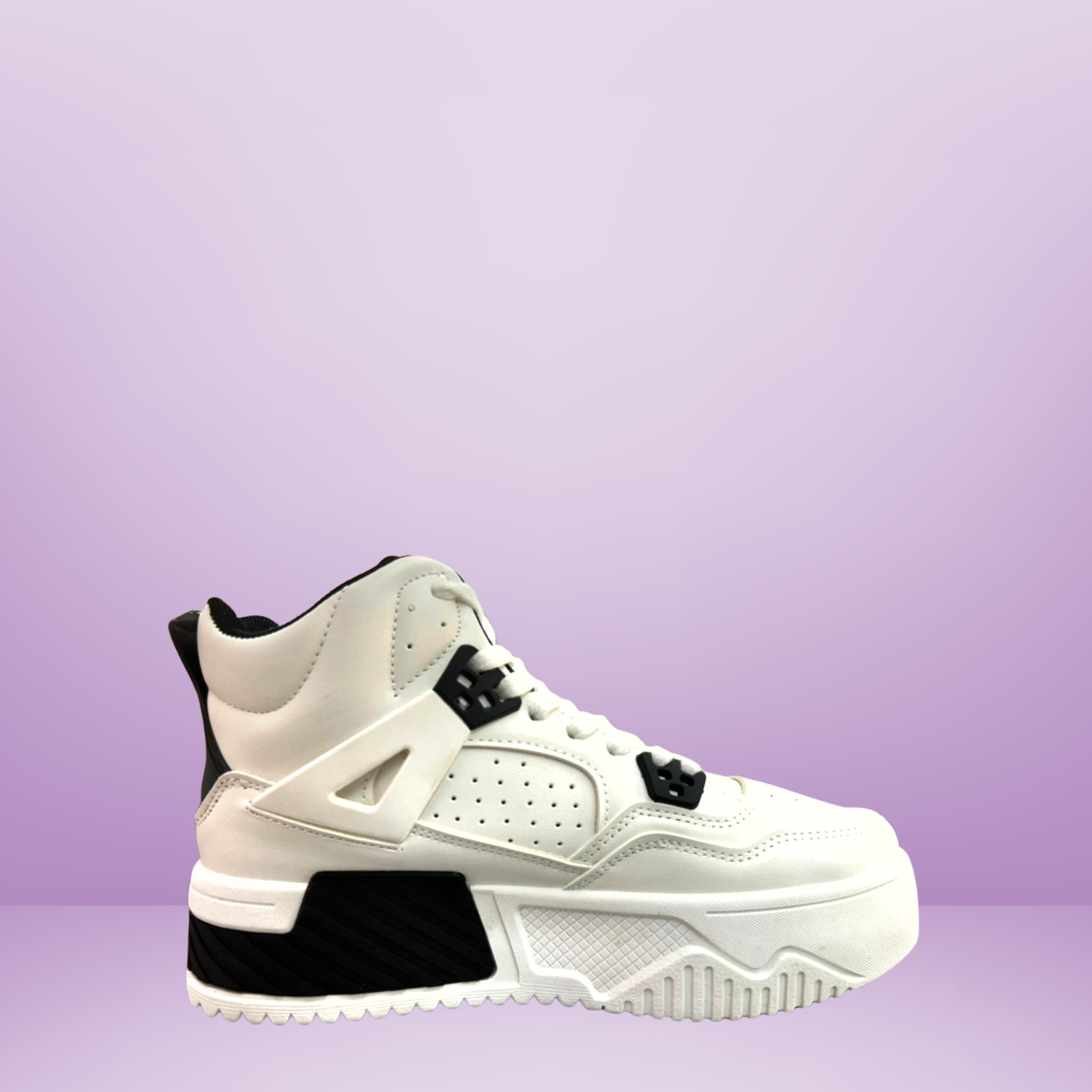 Botin vía urbana- PSM24122017