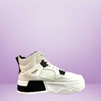 Botin vía urbana- PSM24122017