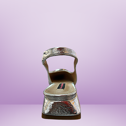 Balerina plateada salamandra -2943982